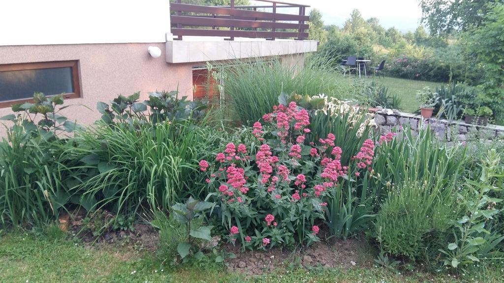 House Tudic Apartment Dreznik Grad Bilik gambar