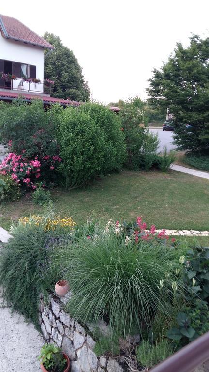 House Tudic Apartment Dreznik Grad Bilik gambar