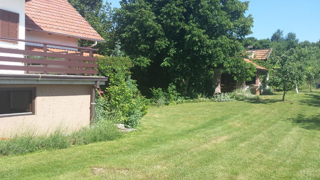 House Tudic Apartment Dreznik Grad Bilik gambar