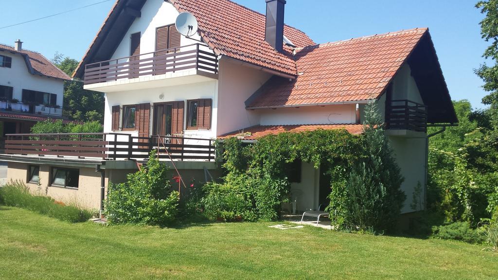 House Tudic Apartment Dreznik Grad Bilik gambar