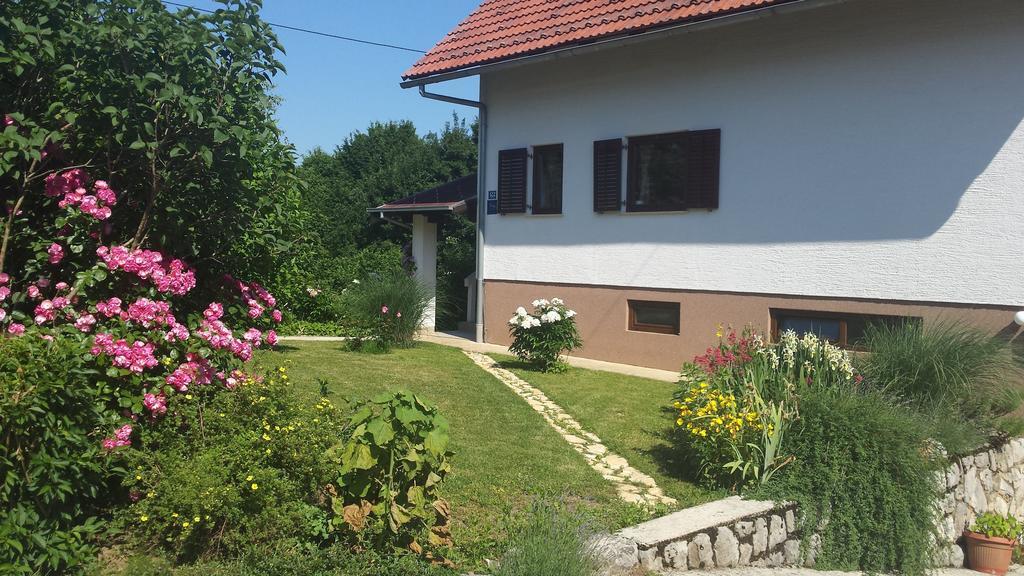 House Tudic Apartment Dreznik Grad Bilik gambar