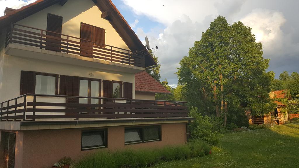 House Tudic Apartment Dreznik Grad Luaran gambar