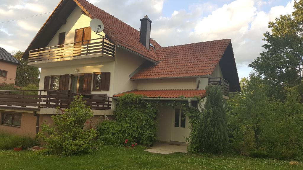 House Tudic Apartment Dreznik Grad Luaran gambar