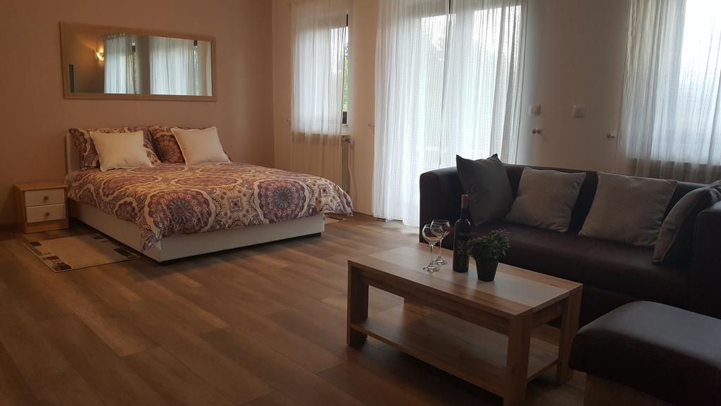 House Tudic Apartment Dreznik Grad Luaran gambar