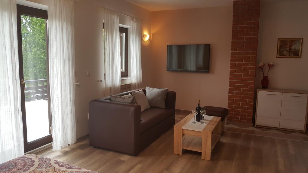 House Tudic Apartment Dreznik Grad Luaran gambar