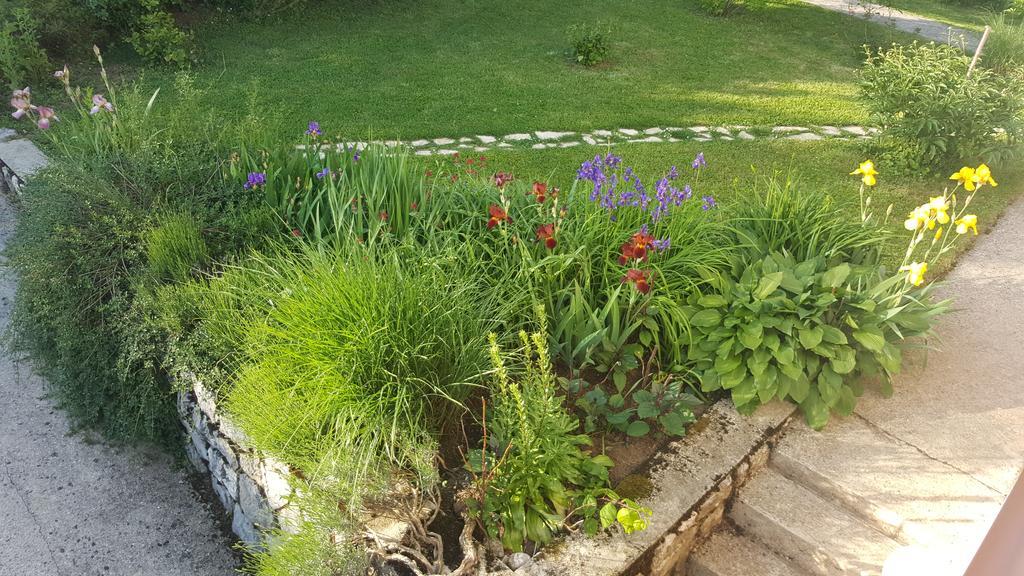 House Tudic Apartment Dreznik Grad Luaran gambar