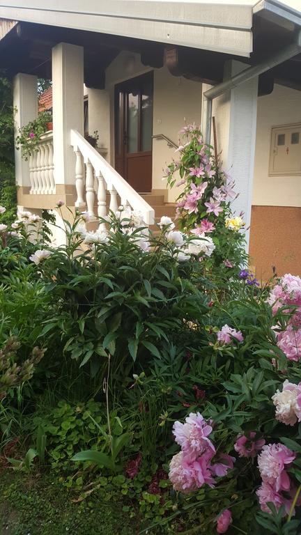 House Tudic Apartment Dreznik Grad Luaran gambar