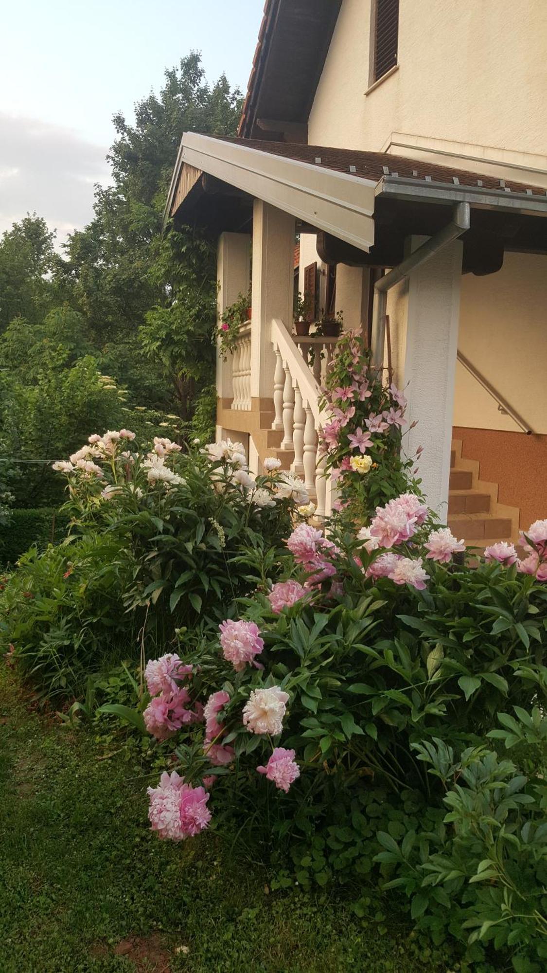 House Tudic Apartment Dreznik Grad Luaran gambar