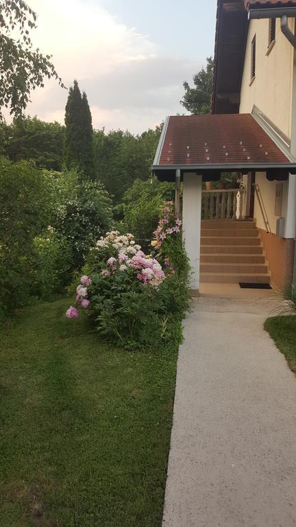 House Tudic Apartment Dreznik Grad Luaran gambar