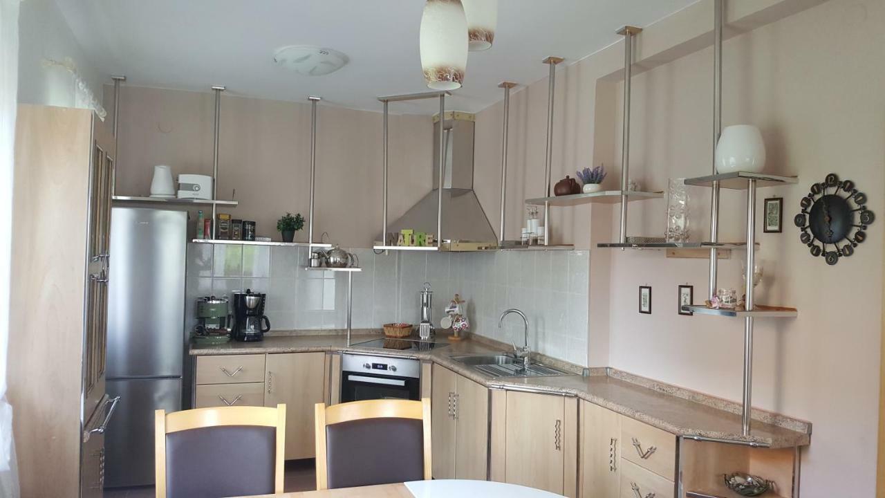 House Tudic Apartment Dreznik Grad Luaran gambar