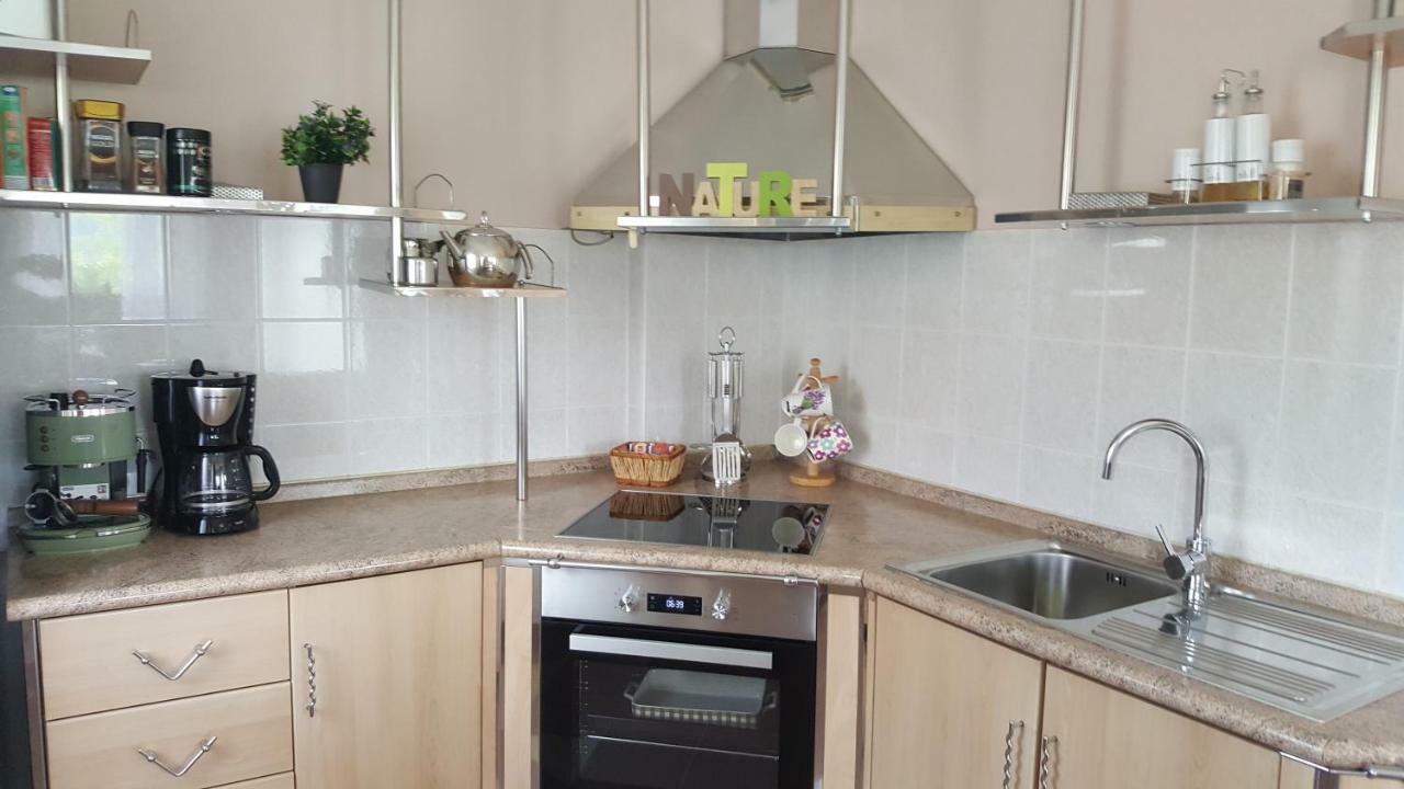 House Tudic Apartment Dreznik Grad Luaran gambar