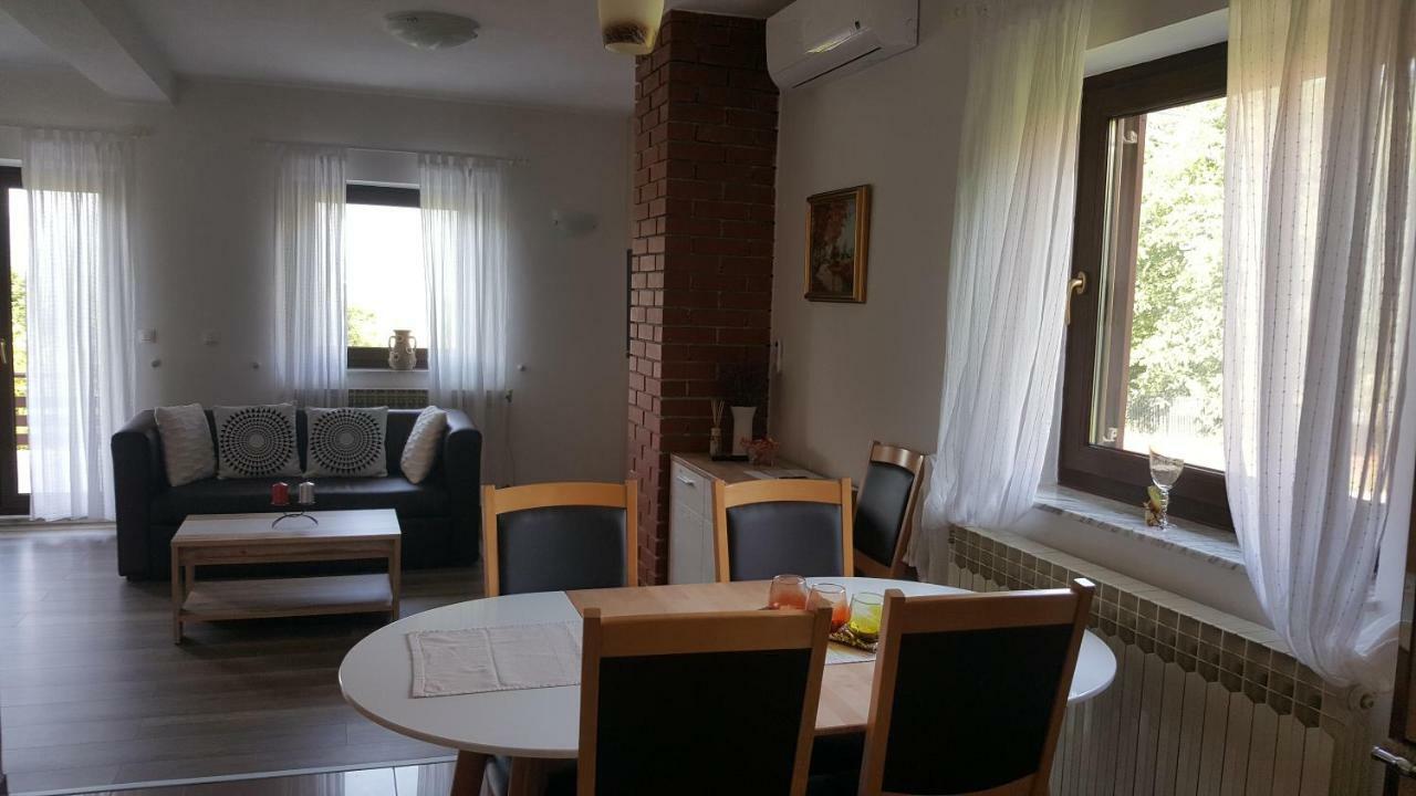 House Tudic Apartment Dreznik Grad Luaran gambar