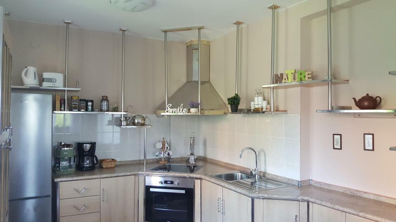 House Tudic Apartment Dreznik Grad Luaran gambar