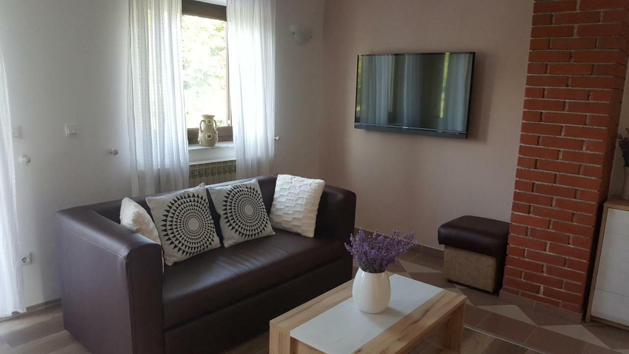 House Tudic Apartment Dreznik Grad Luaran gambar